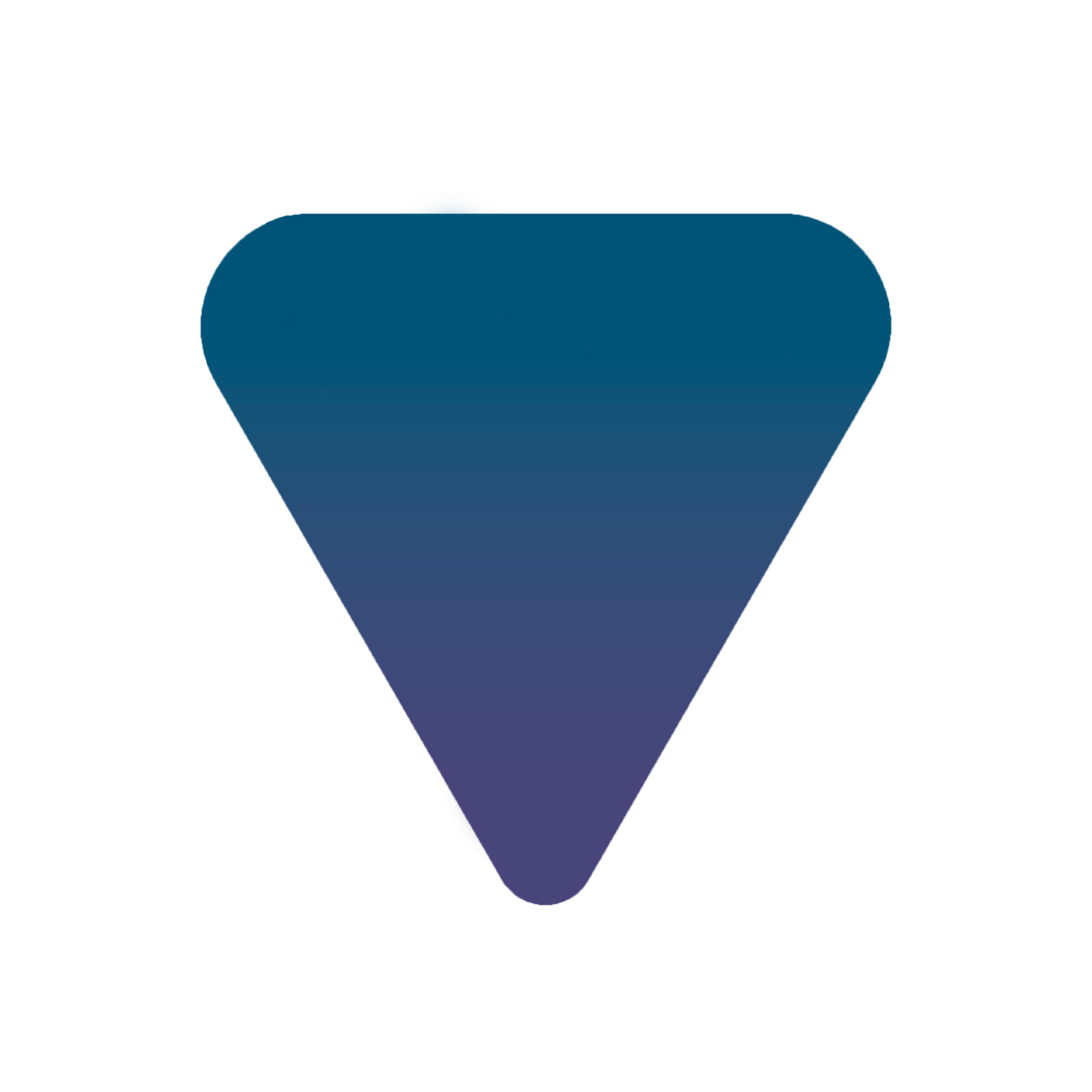 VPN Store Logo